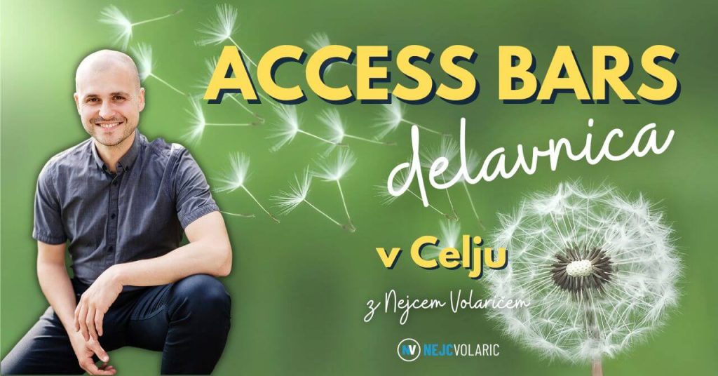 Access Bars delavnica Celje