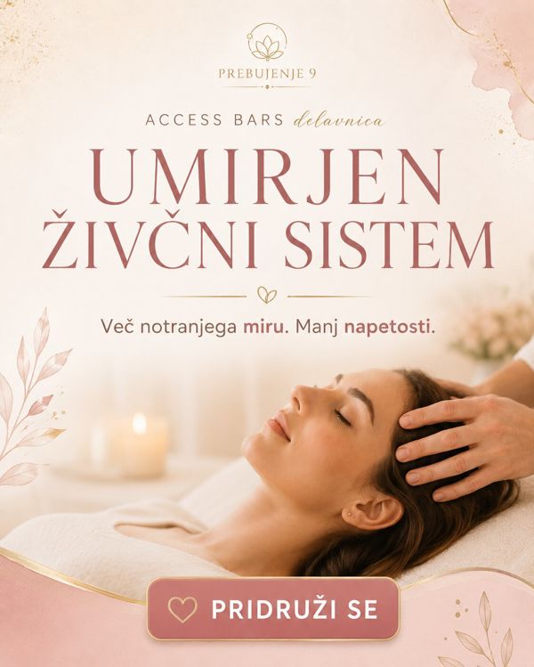 Access Bars delavnica Celje